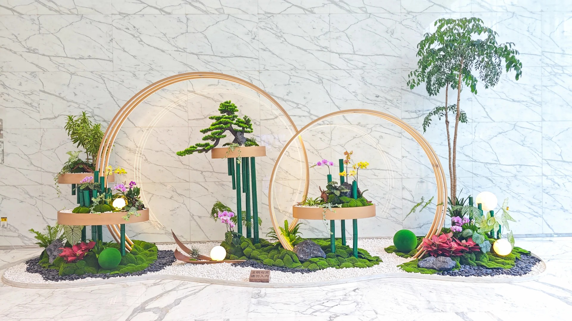 余姚盆景租摆,为空间增添别样生机与艺术气息