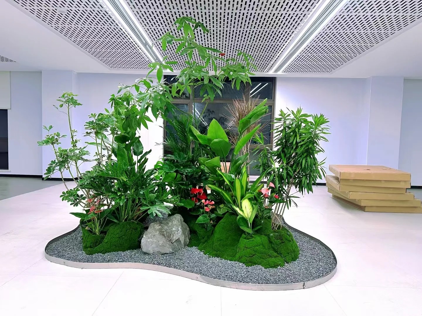 余姚盆景租摆,为空间增添别样生机与艺术气息